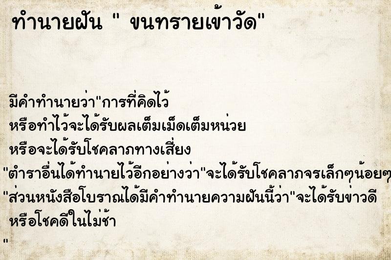 ทำนายฝัน  ขนทรายเข้าวัด